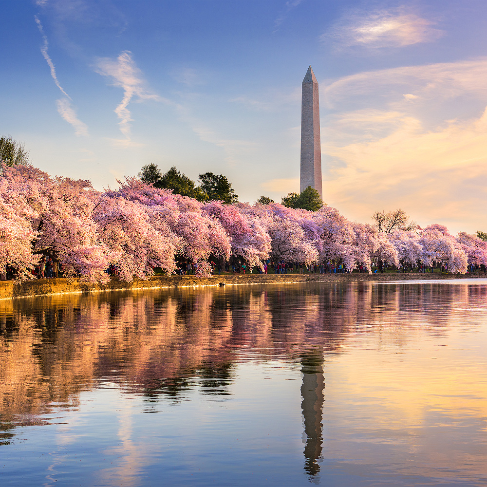 Washington la présidentielle
