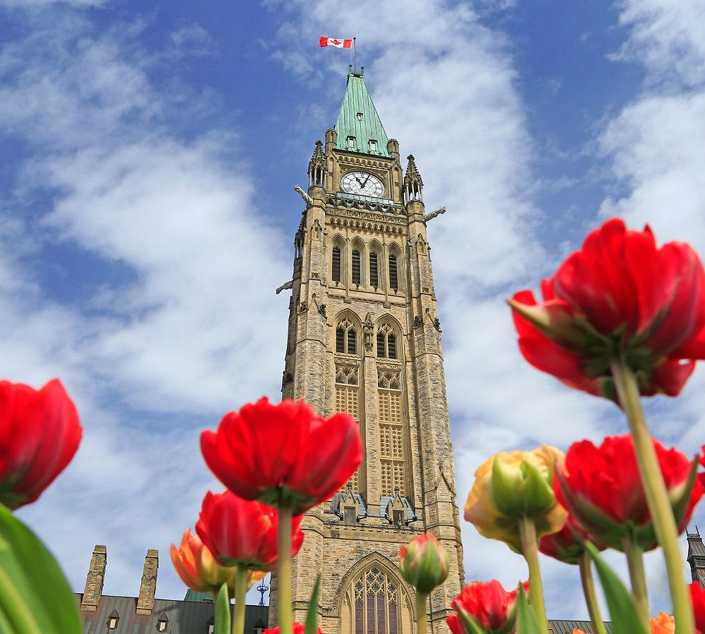 Festival des tulipes à Ottawa