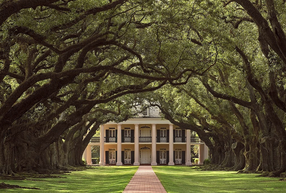 À la conquête de la Louisiane VIP
